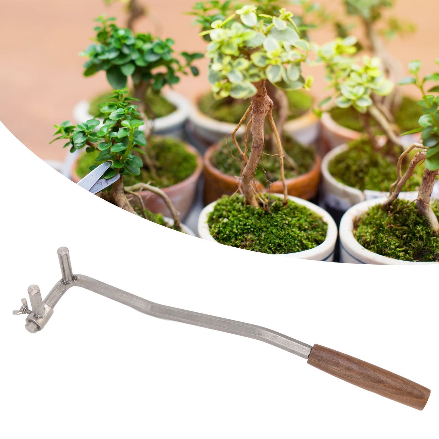 Bonsai Branch Bending Tool Professional High Accuracy Stainless Steel Bonsai Branch Bender for Courtyard Garden M12