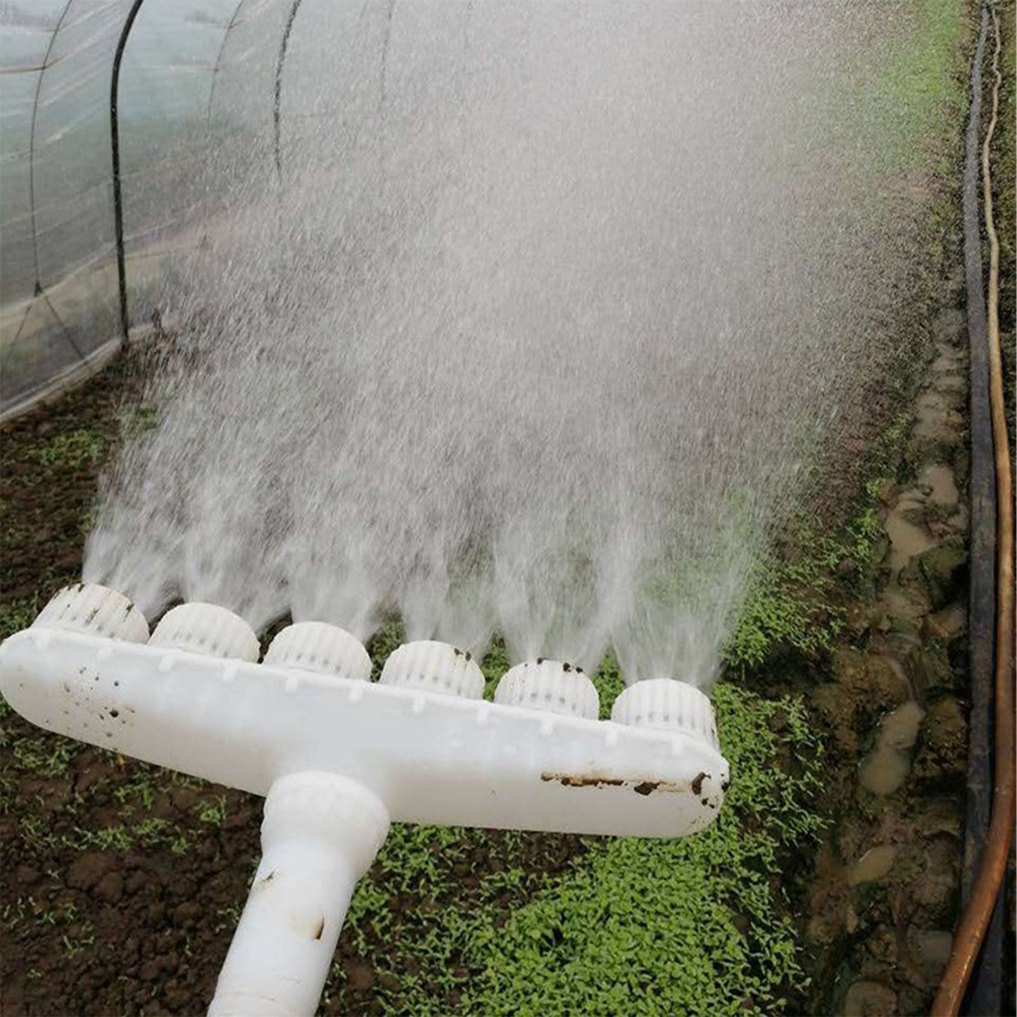 Sprinkler Head Plastic Multifunction Watering Misting Sprinkler for Garden Outdoor Agriculture Four Holes