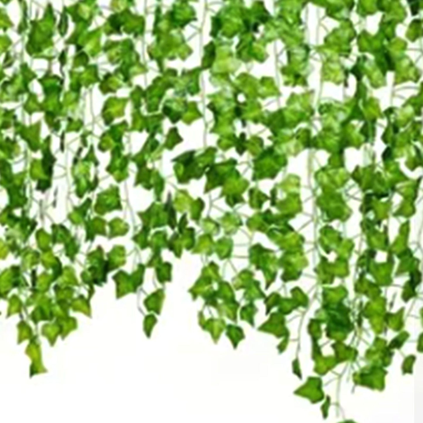Simulated Ivy Cane Creeper Ivy Decorative Green Plants Ceiling Artificial Vine Eucalyptus Leaves 12PCS