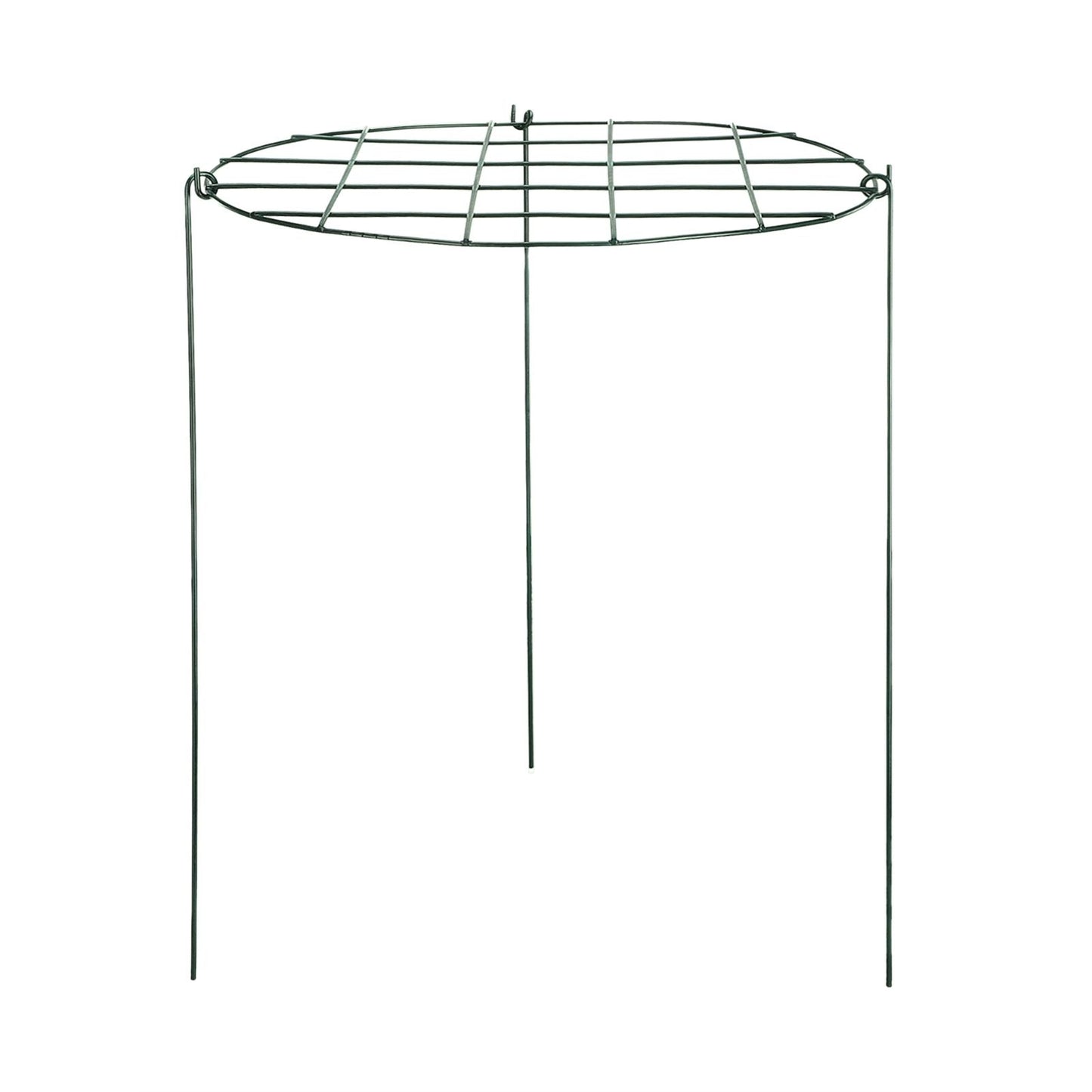 Garden Grid Shaped Iron Metal Plant Stand Strawberry Stand Plant Support Stake