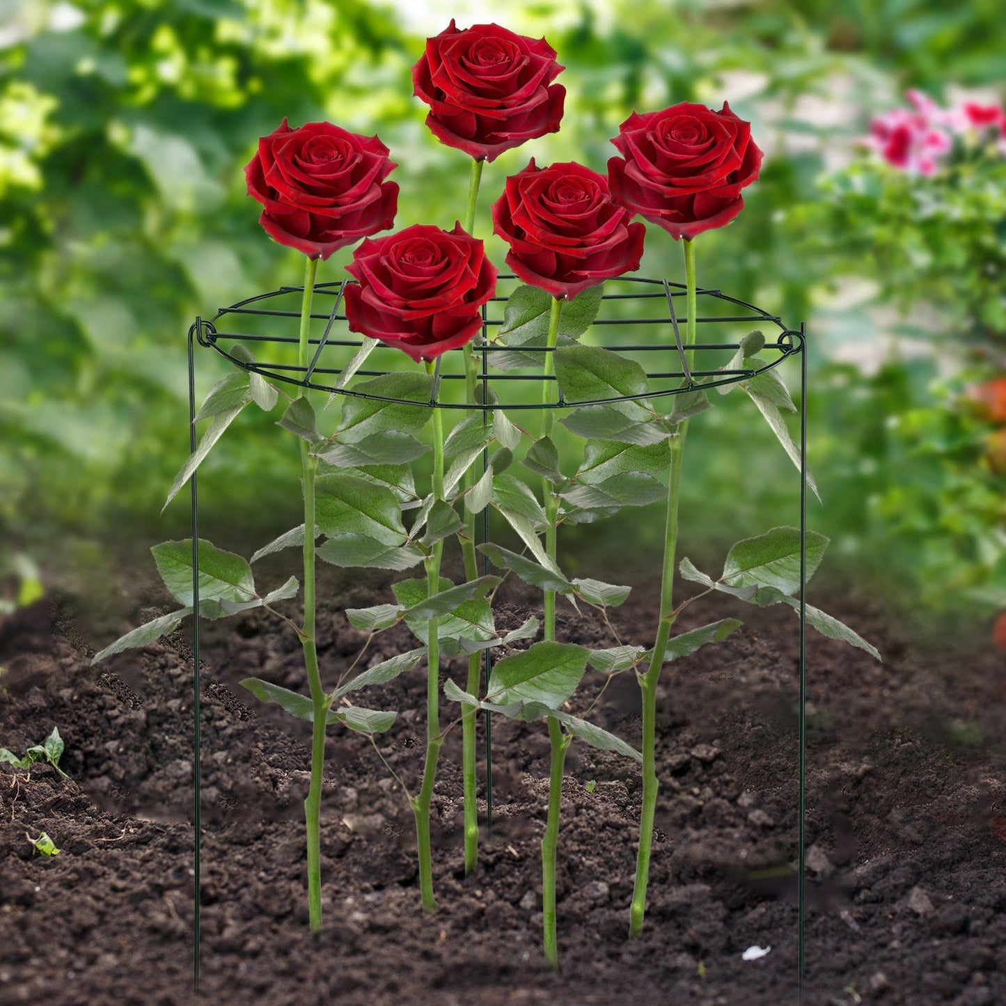 Garden Grid Shaped Iron Metal Plant Stand Strawberry Stand Plant Support Stake