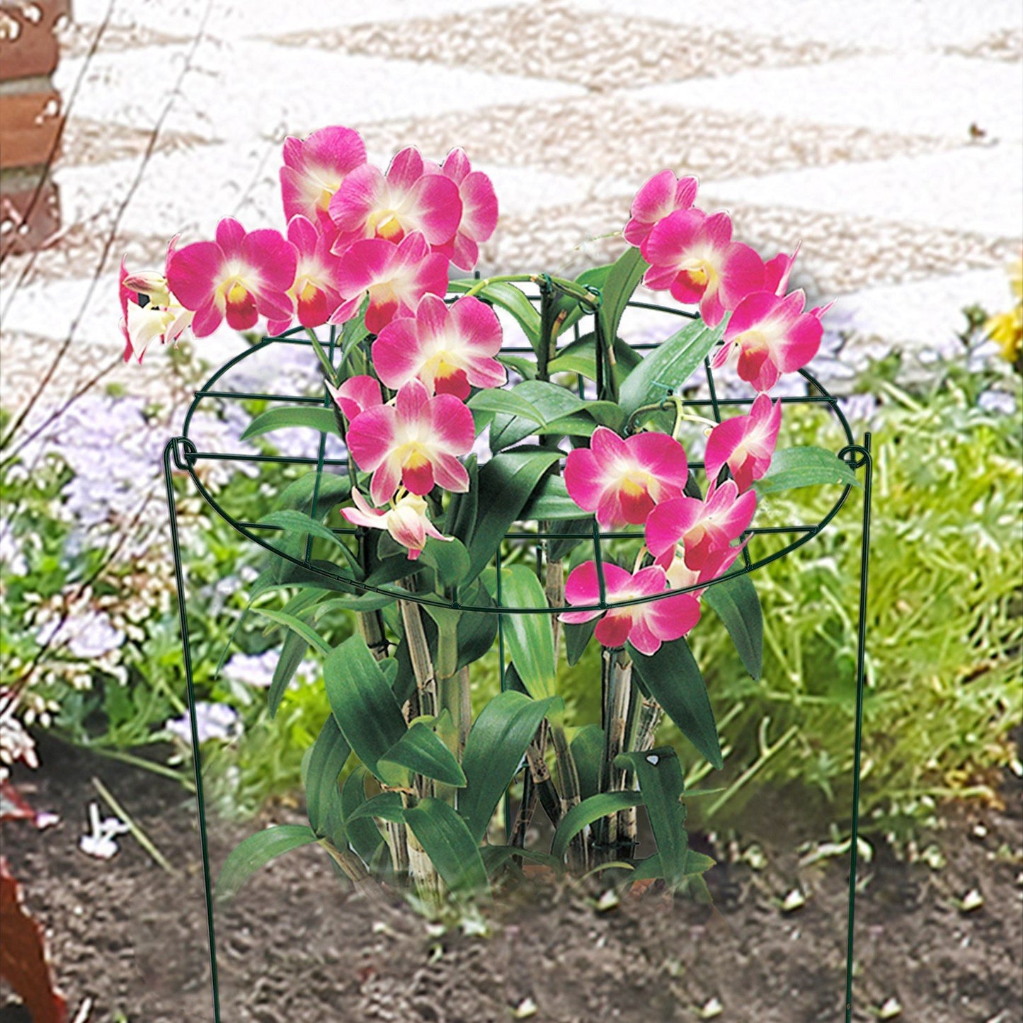 Garden Grid Shaped Iron Metal Plant Stand Strawberry Stand Plant Support Stake