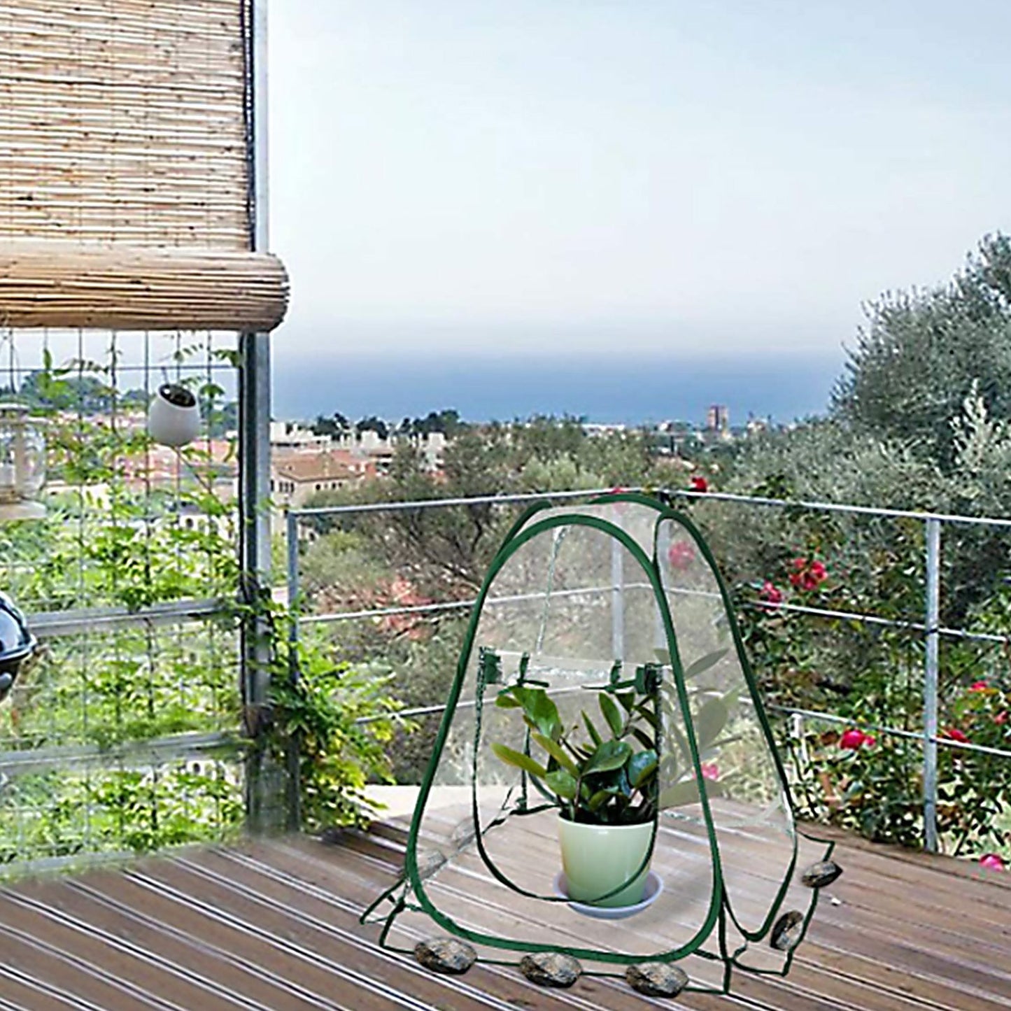 Foldable Portable Mini Home Garden Greenhouse Succulent Flower Warm Cover Windproof Rainproof Greenhouse
