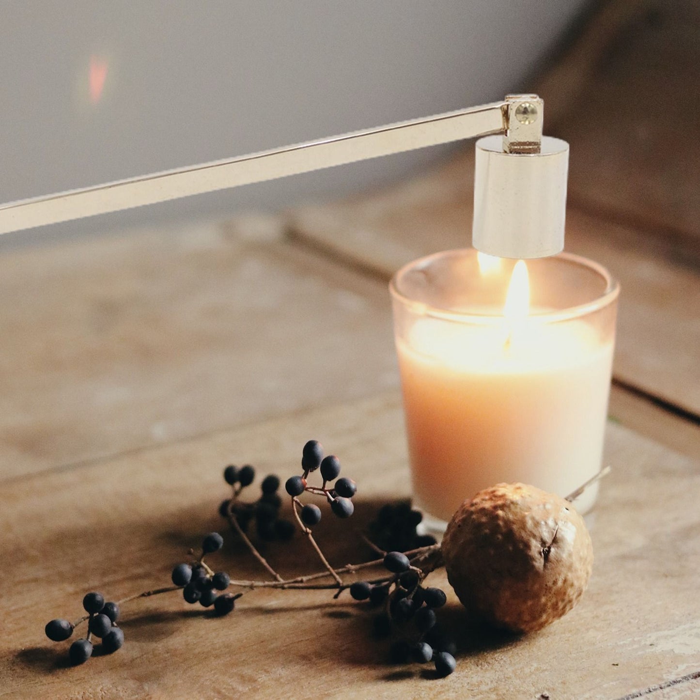 Candle Wick Snuffer Stainless Steel Wick Flame Snuffer Vintage Extinguisher with Long Handle