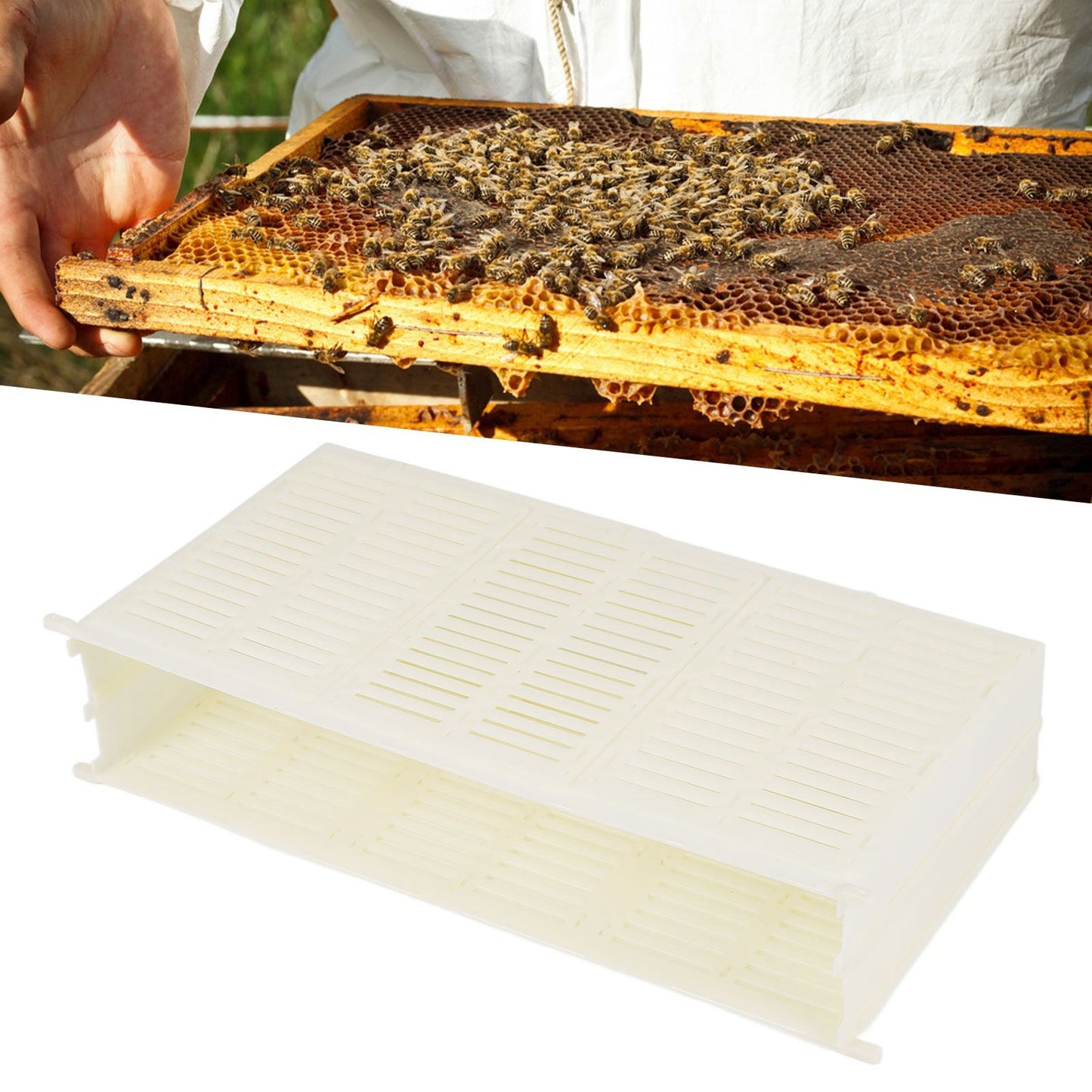 Queen Bee Spawning Controller Single Frame Plastic Bee Spawning Box Beekeeping Box