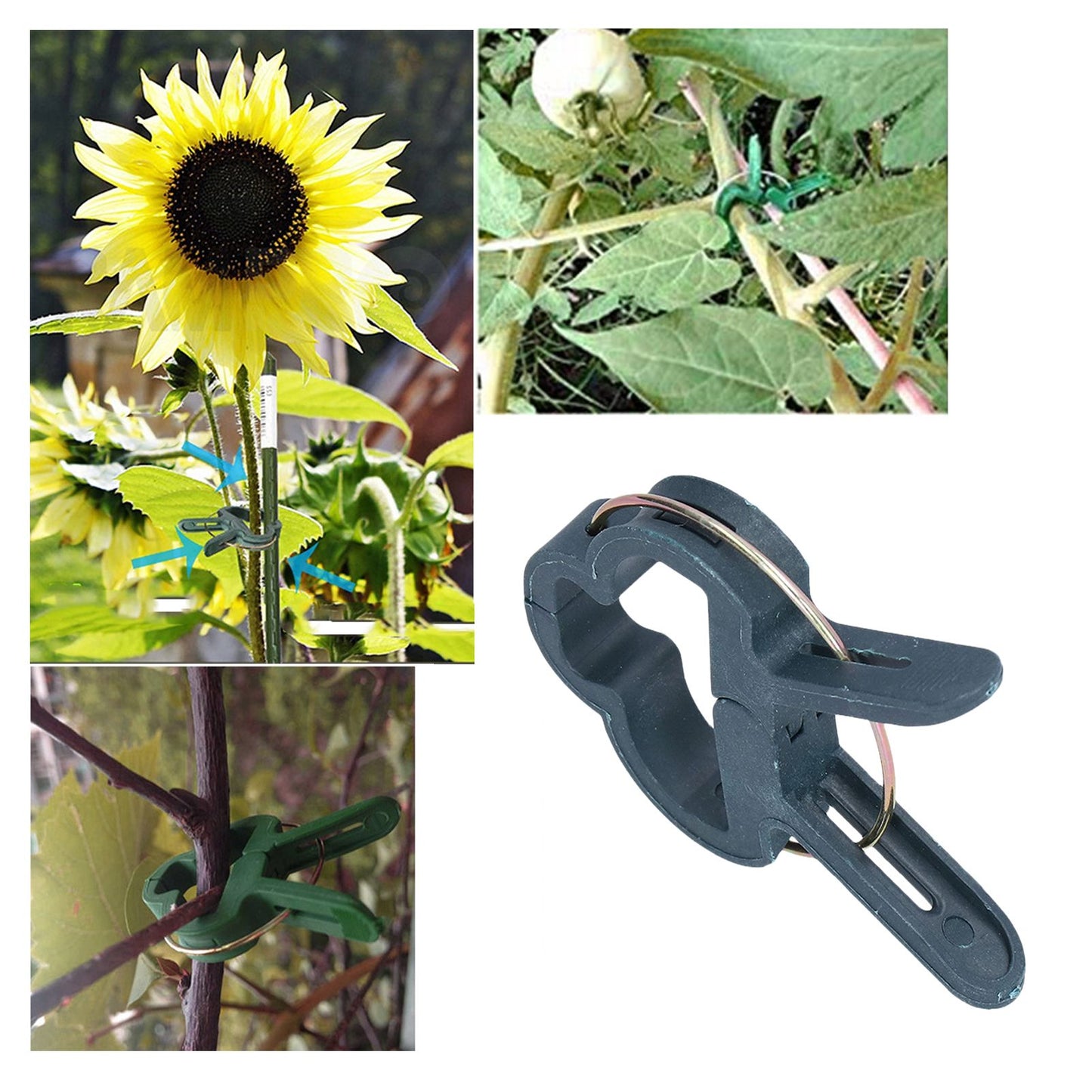 100PCS Plant Support Clip Plant Clamp Garden Binding Clip Grafting Tools for GreenhouseL