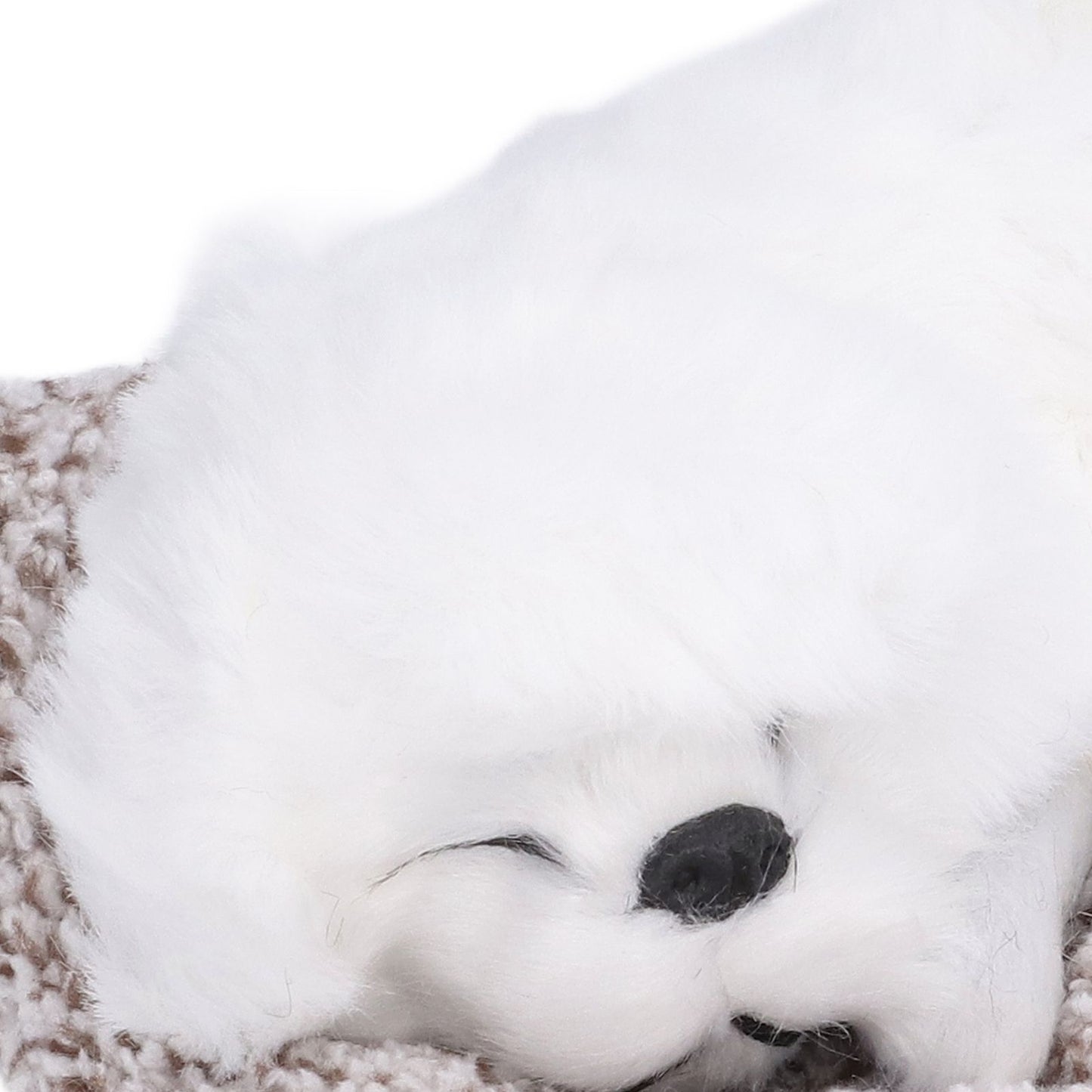 Realistic Sleeping Dog Adorable Sleeping Puppy Children Toys Decorations Gifts for Boys GirlsWhite Pekingese