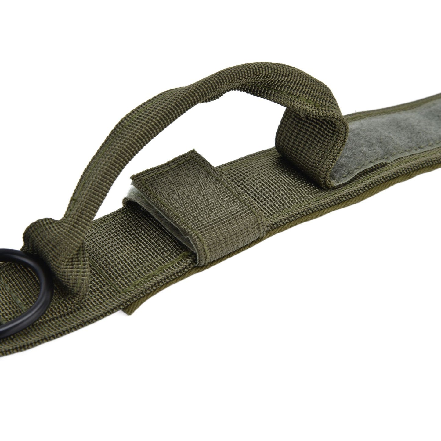 Traction Dog Collar with Buckle Nylon Iron Training Hunting Collar Pet Accessory for OutdoorGreen M