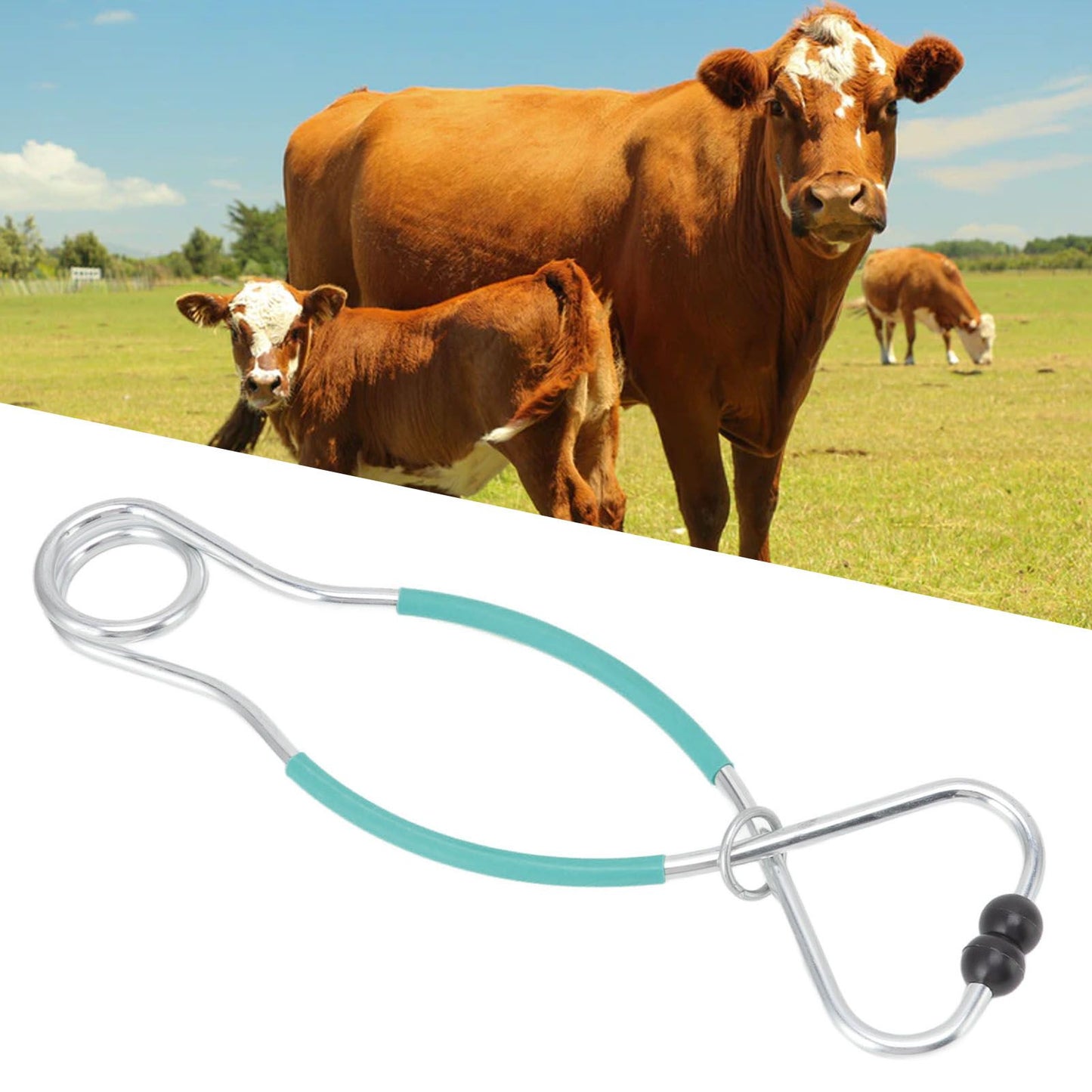 Cattle Bull Cow Nose Pliers Metal Punch Free Strong Traction Cow Pulling Tool for Farm Ranch Veterinary L Green