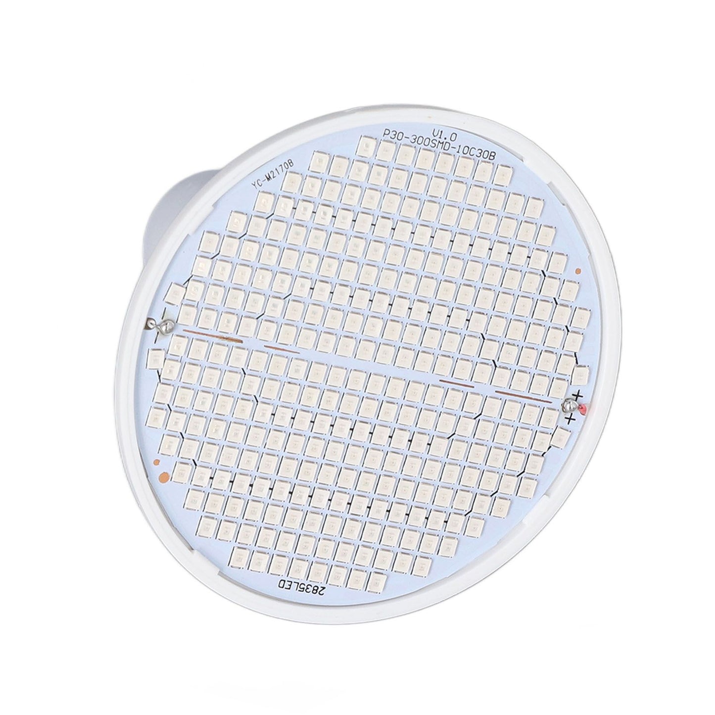 Plant Light E27 Bulb Red Blue Light E27 LED Grow Bulb for Indoor Seedlings 85‑265V E27 300