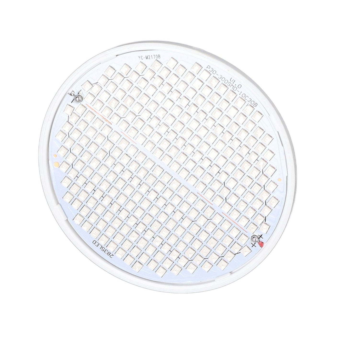 Plant Light E27 Bulb Red Blue Light E27 LED Grow Bulb for Indoor Seedlings 85‑265V E27 300