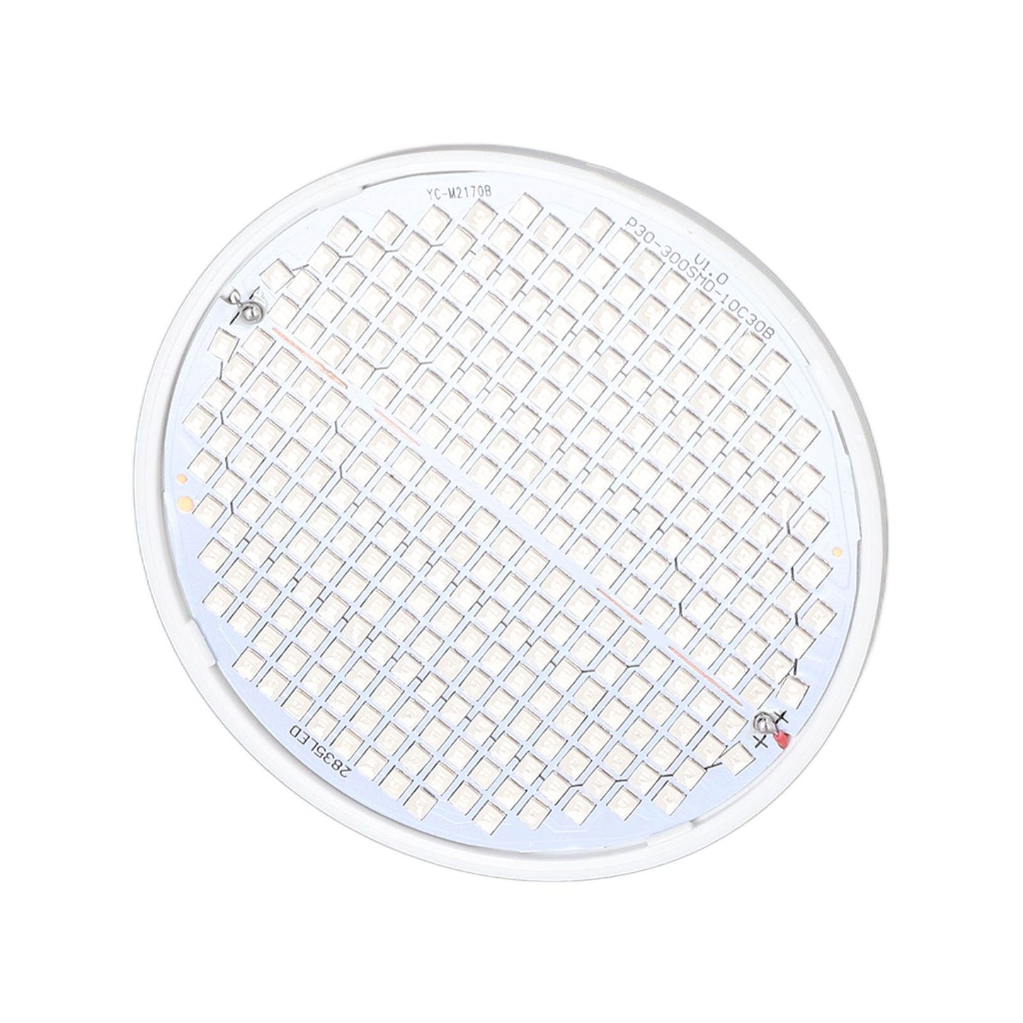 Plant Light E27 Bulb Red Blue Light E27 LED Grow Bulb for Indoor Seedlings 85‑265V E27 300