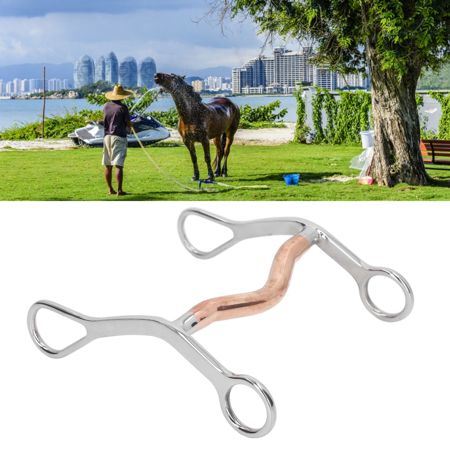 Horse Mouth Bit Stainless Steel Horse Breaking Bit Wear Resistant Corrosion Resistant Horse Snaffle Bit for Farm