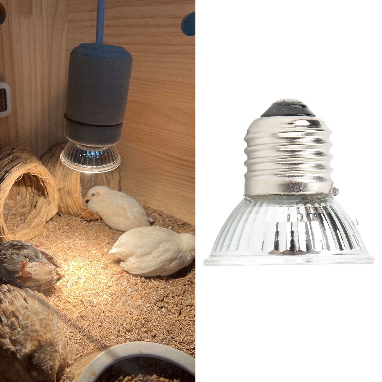UVB Reptile Heat Lamp Bulbs Full Spectrum Energy Saving Sunbathe Heat Lamp for Amphibians 220‑240V Warm Light 50W