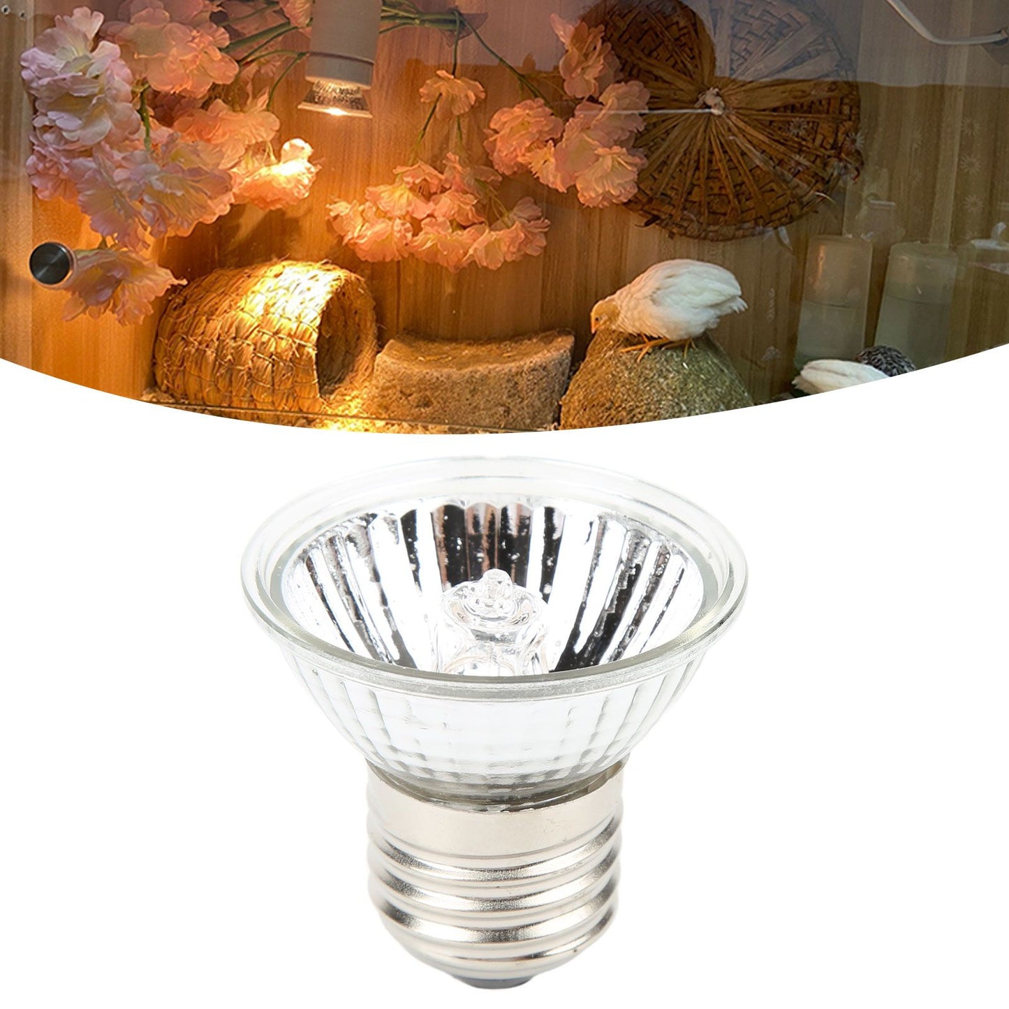 UVB Reptile Heat Lamp Bulbs Full Spectrum Energy Saving Sunbathe Heat Lamp for Amphibians 220‑240V Warm Light 75W
