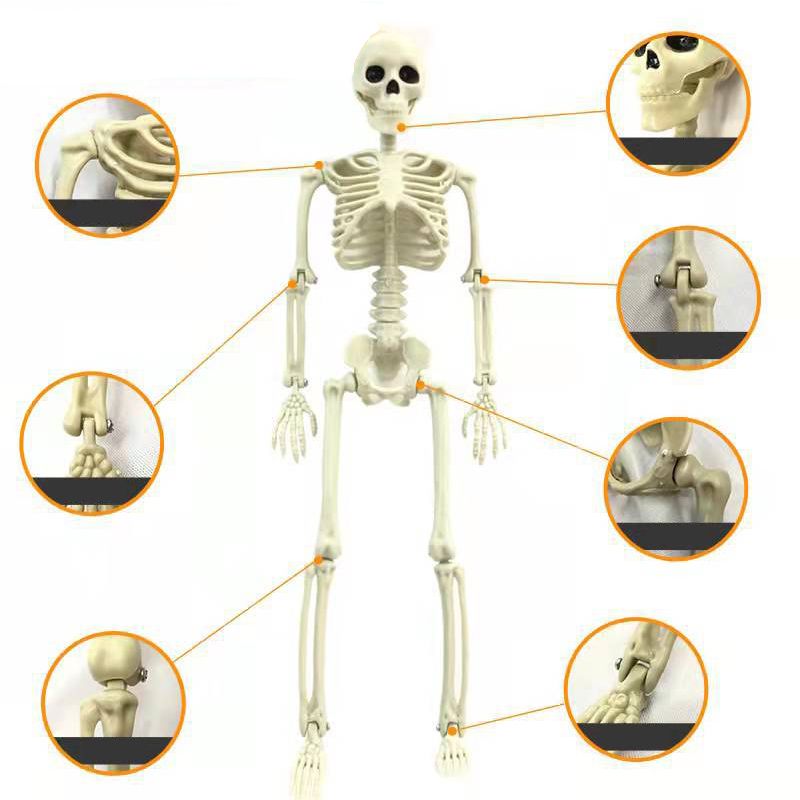 Halloween Skull Skeleton Decoration Simulated Human Plastic Bones Haunted House Decorative Skeleton Props Bride Bridegroom with Clothes