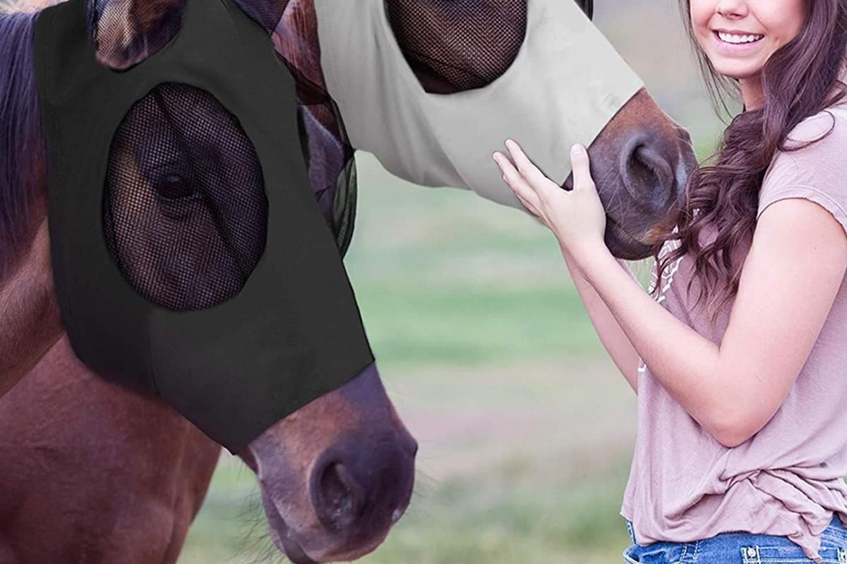 Horse Fly Mask with Ears -Black