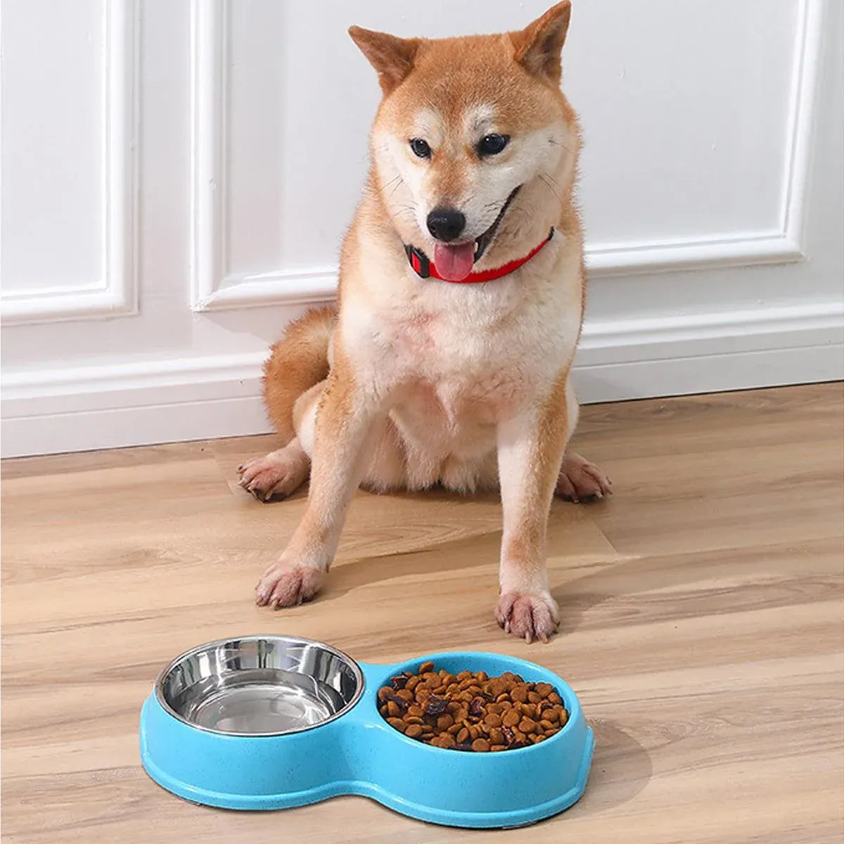 Dog Slow Feeder Double Bowl Pet Food and Water Dish - Green