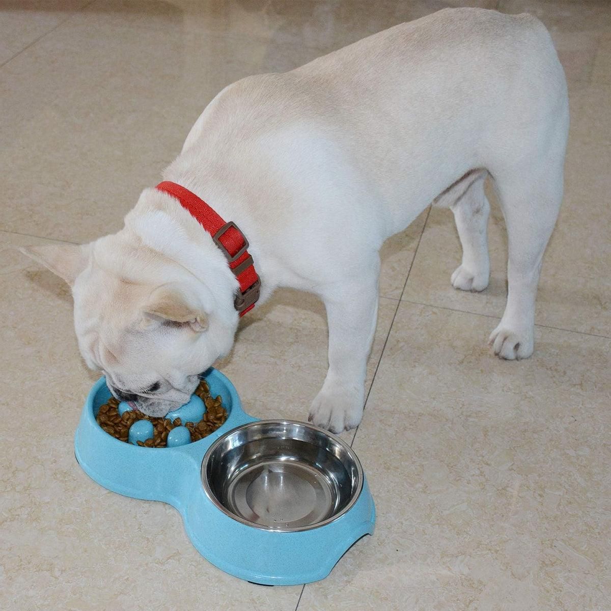Dog Slow Feeder Double Bowl Pet Food and Water Dish - Green