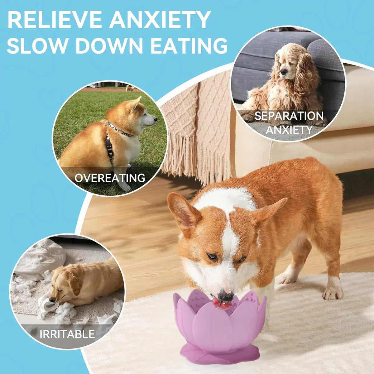 Shape Food Grade Material Dog Slow Feeder Bowl Non Slip Promote Healthy Eating