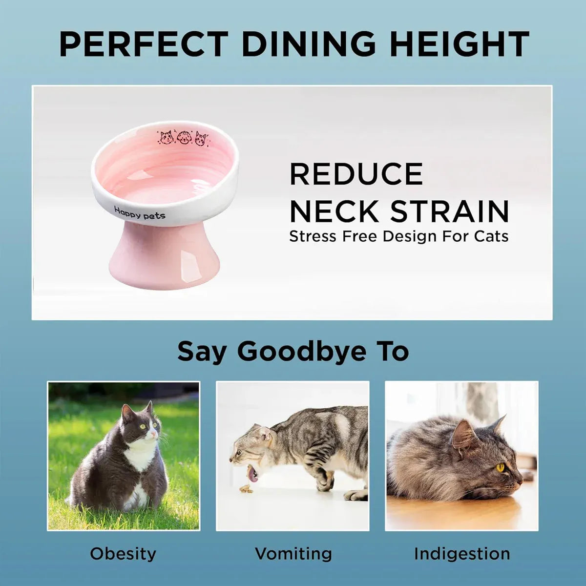 Tall Raised Ceramic Pet Bowl for Cats and Small Dogs in Blue or Pink - Pink