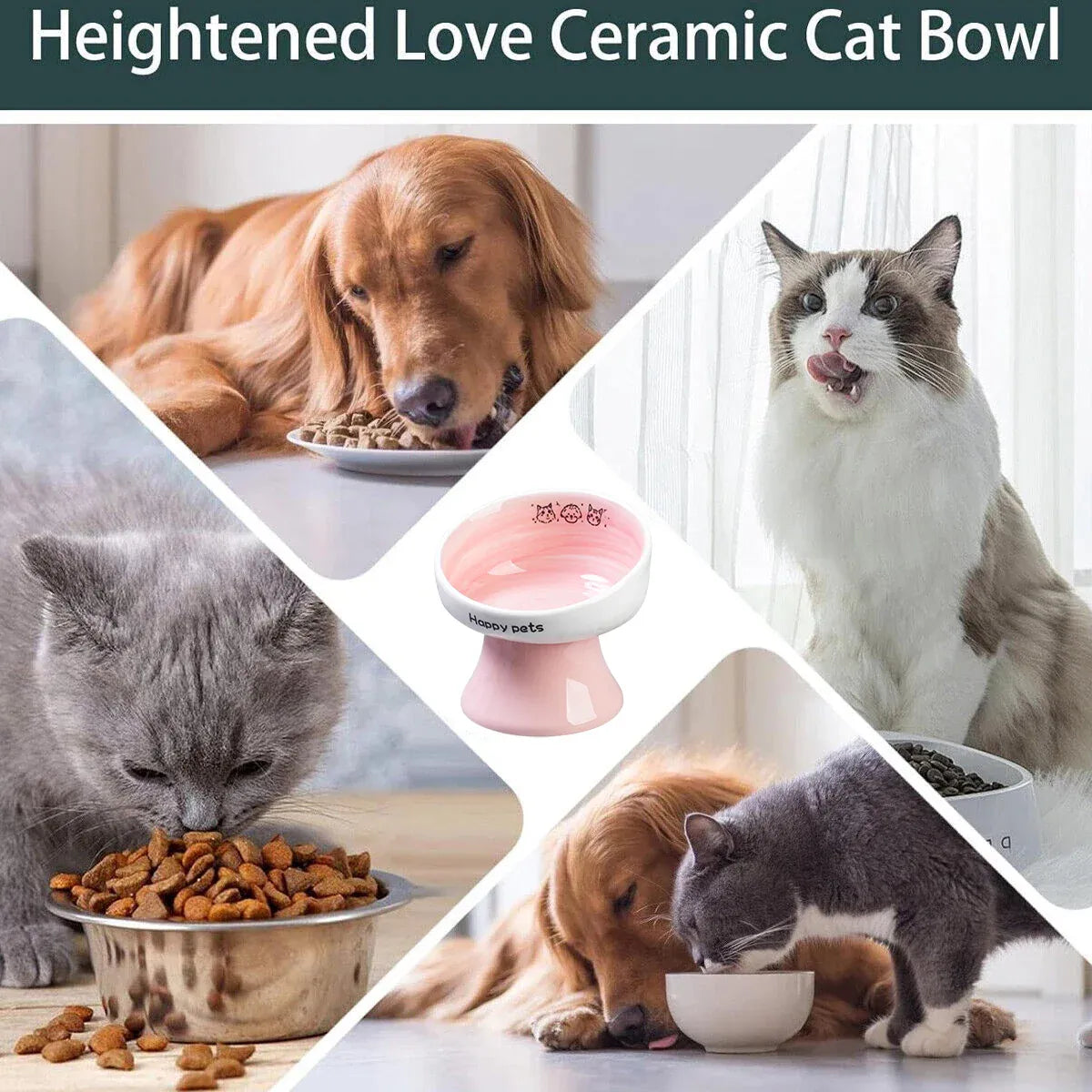 Tall Raised Ceramic Pet Bowl for Cats and Small Dogs in Blue or Pink - Pink