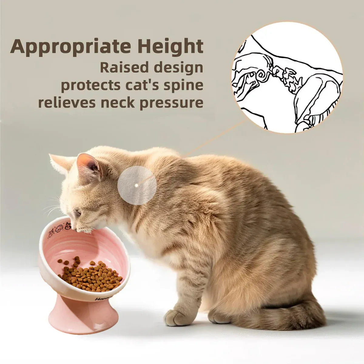 Tall Raised Ceramic Pet Bowl for Cats and Small Dogs in Blue or Pink - Pink