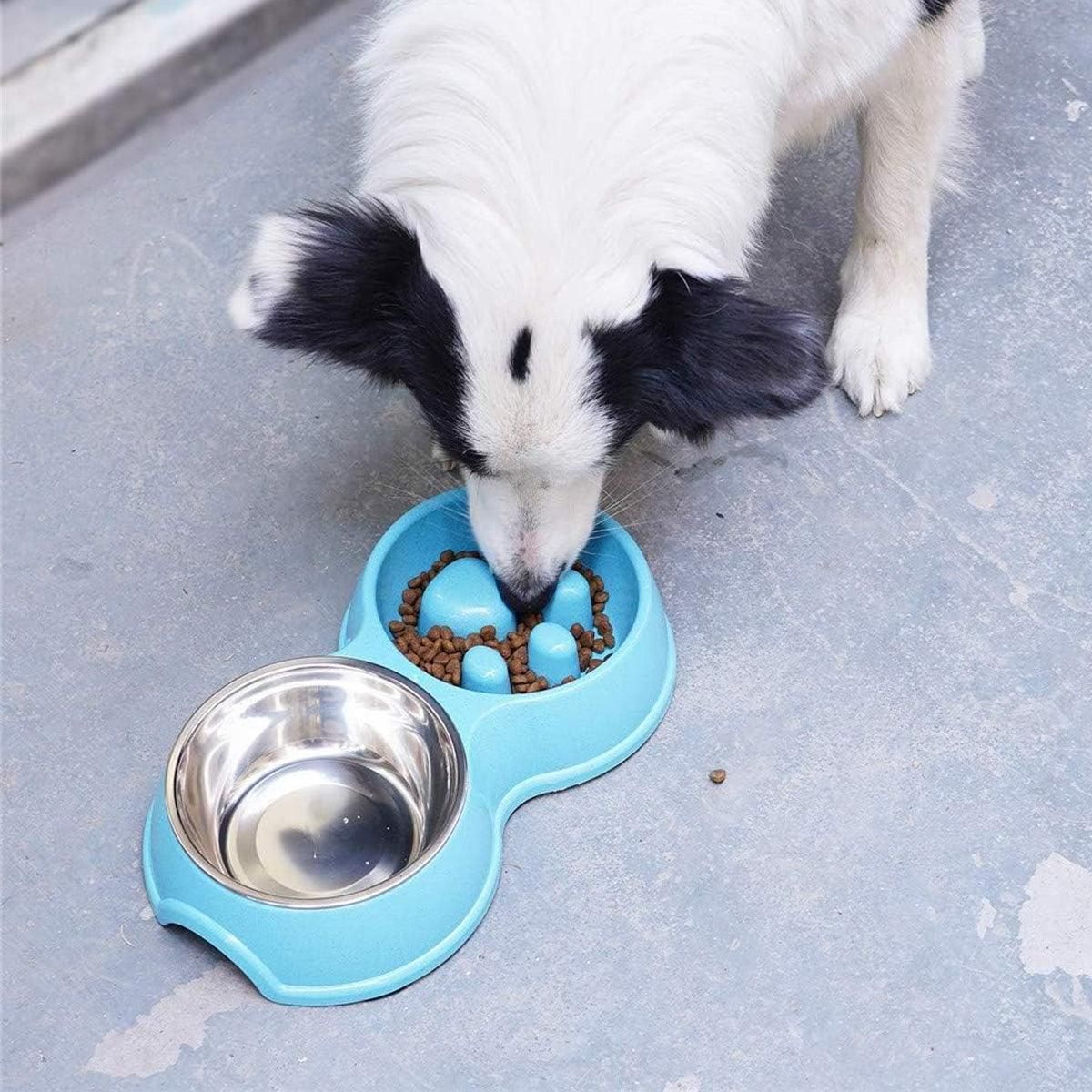 Dog Slow Feeder Double Bowl Pet Food and Water Dish - Pink