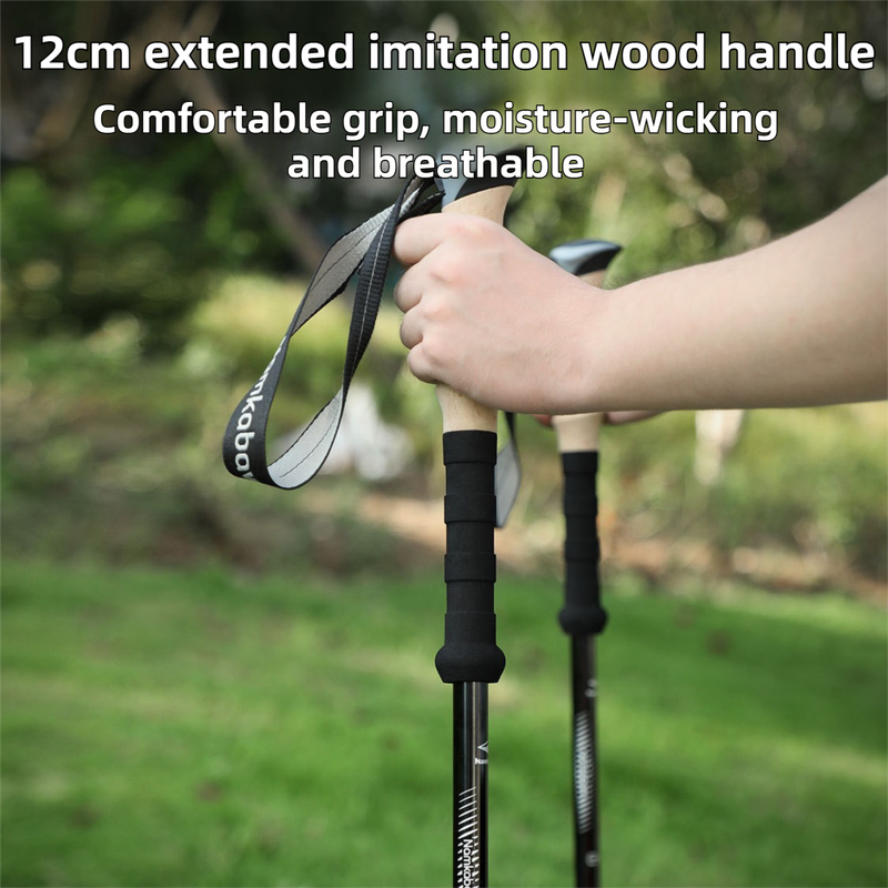 2-Pack Black Aluminum Alloy Telescopic Trekking Poles with Secure External Lock & Accessory - 3-Section Adjustable Hiking Sticks(65-135cm)