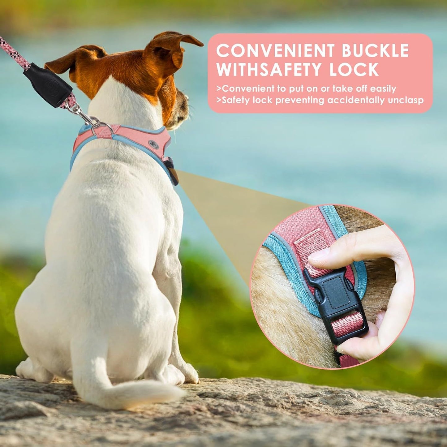 L Size Black Waterproof Reflective Saddle-Style Dog Harness & 1.5M Leash Set - Breathable Anti-Choke Escape-Proof Step-In Walking Gear