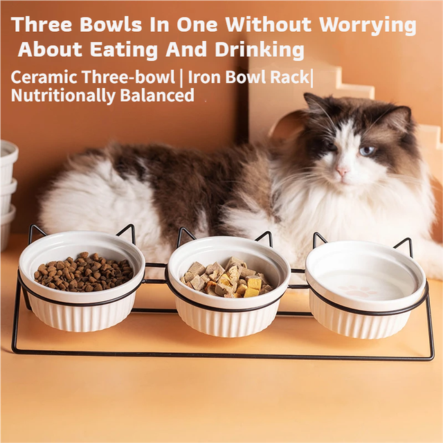 Triple Slanted Ceramic Pet Bowl Set with Elevated Iron Stand and Non Slip Base - 3 x 300ML Versatile Yellow Cat Paw Print Pattern Dishes for Water & Food