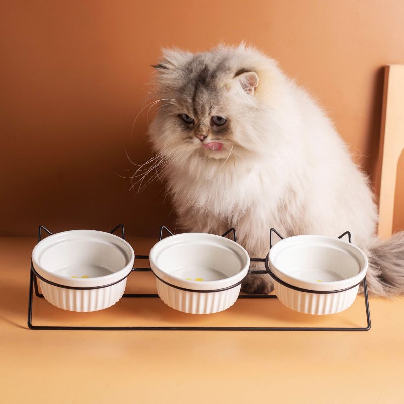 Triple Slanted Ceramic Pet Bowl Set with Elevated Iron Stand and Non Slip Base - 3 x 300ML Versatile Black Cat Paw Print Pattern Dishes for Water & Food