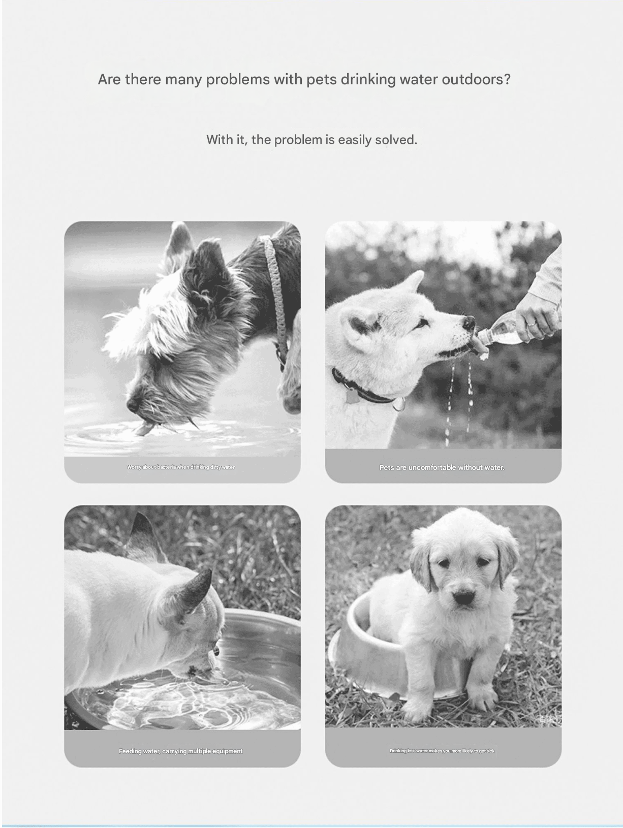 Yellow 650ml Portable Dog Water Bottle  - Leak-Proof Pet Travel Water Dispenser, Cloud-Shaped Drinking Bowl, Twist-to-Dispense Design, BPA-Free HIPS/PET Material for Walking Hiking Travel