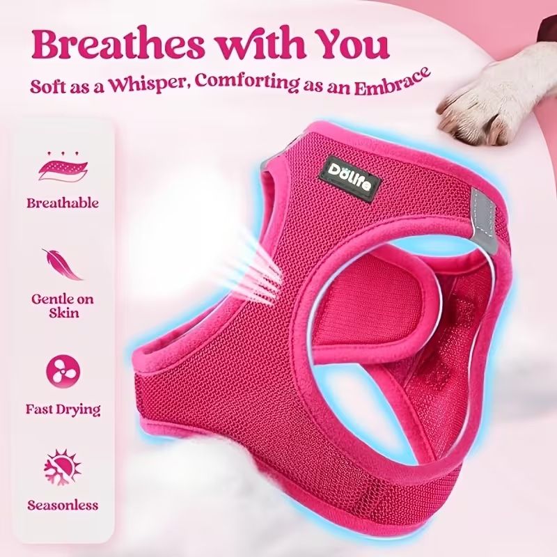 Black Breathable Dog Harness and Leash Set - Adjustable Reflective Pet Vest with Swivel Clip(Size: XL)