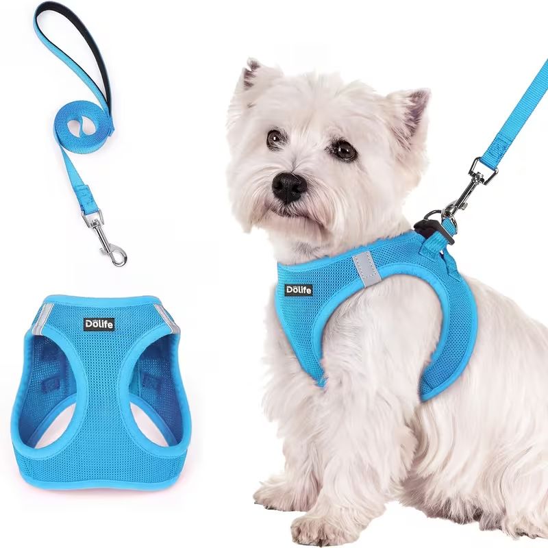 Blue Breathable Dog Harness and Leash Set - Adjustable Reflective Pet Vest with Swivel Clip(Size: M)