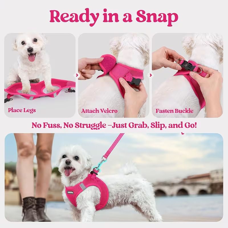 Orange Breathable Dog Harness and Leash Set - Adjustable Reflective Pet Vest with Swivel Clip(Size: XS)