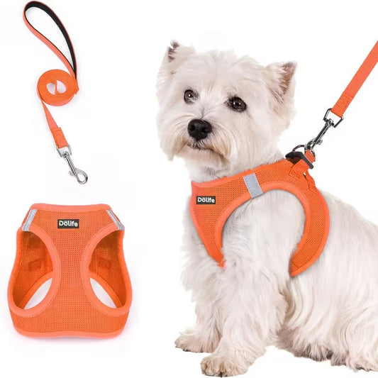 Orange Breathable Dog Harness and Leash Set - Adjustable Reflective Pet Vest with Swivel Clip(Size: XL)