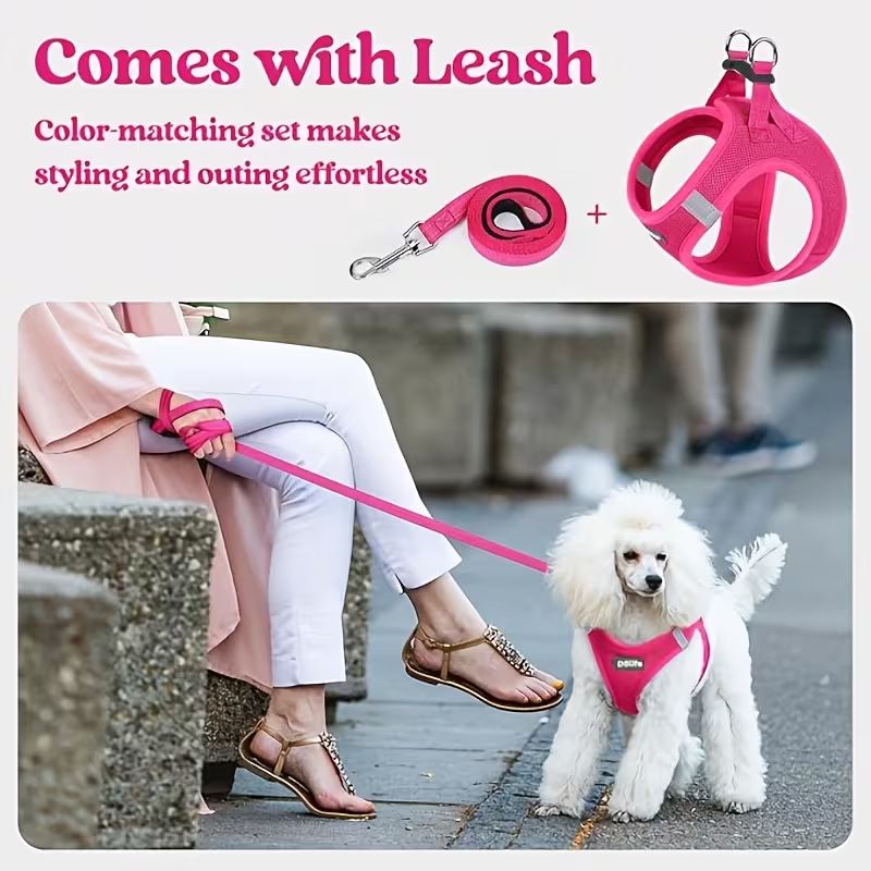 Orange Breathable Dog Harness and Leash Set - Adjustable Reflective Pet Vest with Swivel Clip(Size: XL)