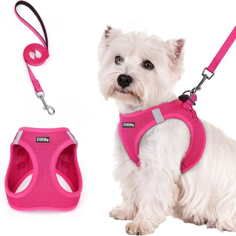 Rose red Breathable Dog Harness and Leash Set - Adjustable Reflective Pet Vest with Swivel Clip(Size: S)
