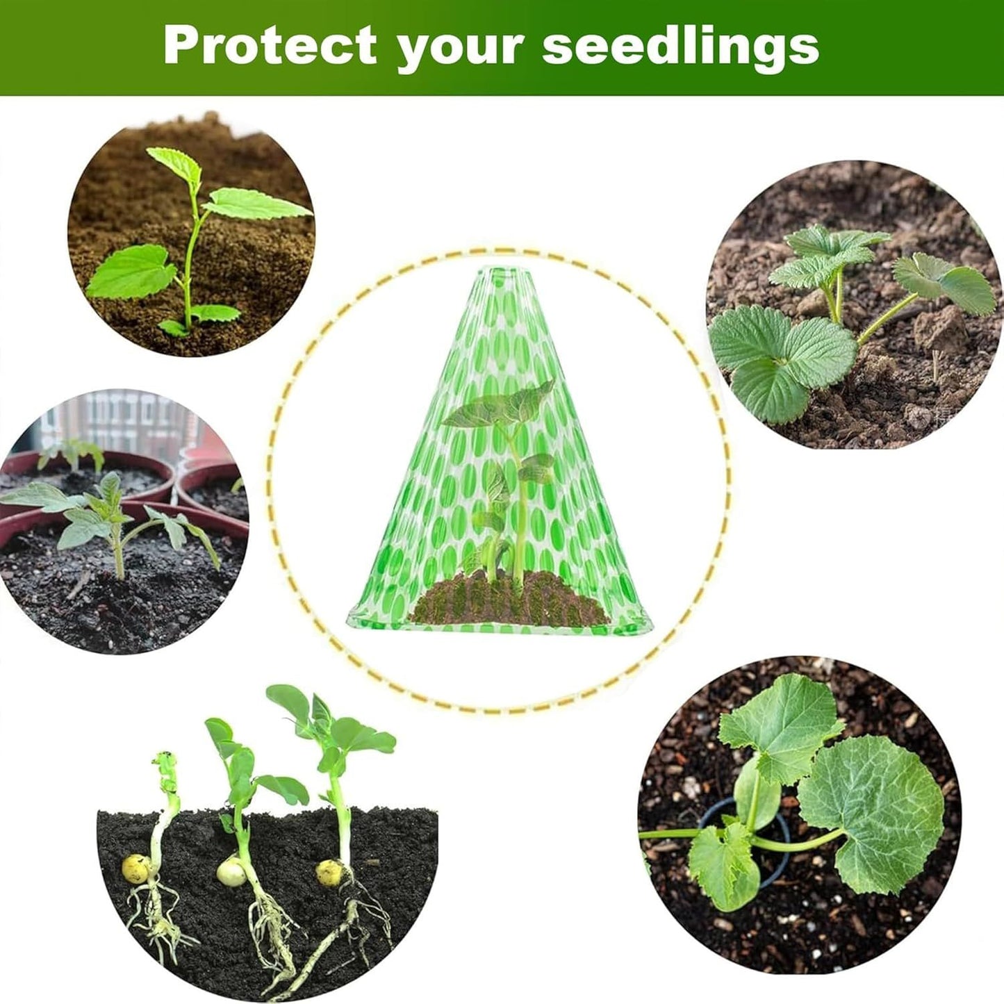 10-Pack Reusable Garden Seedling Protective Covers with Securing Earth Pegs – Ventilated Windproof and Frost Guard Cones for Veggie & Flower Saplings